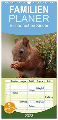 Familienplaner Eichhörnchen Kinder (Wandkalender 2023 , 21 cm x 45 cm, hoch): Wunderschöne Großaufnahmen von jungen verspielten Eichhörnchen (Monatskalender, 14 Seiten ) (CALVENDO Tiere)