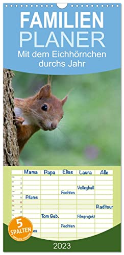 Familienplaner Mit dem Eichhörnchen durchs Jahr (Wandkalender 2023 , 21 cm x 45 cm, hoch): Eichhörnchen, über das ganze Jahr beobachtet und fotografiert (Monatskalender, 14 Seiten ) (CALVENDO Tiere)