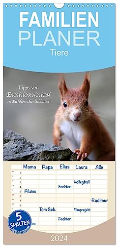 Familienplaner 2024 - Tipps von Eichhörnchen an Eichhörnchenliebhaber mit 5 Spalten (Wandkalender, 21 cm x 45 cm) CALVENDO