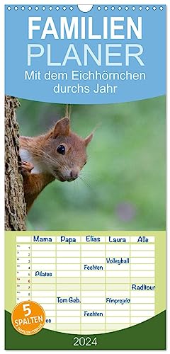 Familienplaner 2024 - Mit dem Eichhörnchen durchs Jahr mit 5 Spalten (Wandkalender, 21 cm x 45 cm) CALVENDO