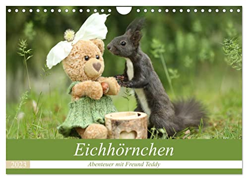 Eichhörnchen - Abenteuer mit Freund Teddy (Wandkalender 2023 DIN A4 quer): Lustige und süße Bilder mit Eichhörnchen und Freund Teddy. (Monatskalender, 14 Seiten ) (CALVENDO Tiere)