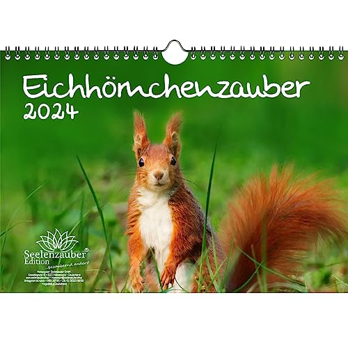 Eichhörnchenzauber DIN A4 Kalender für 2024 Eichhörnchen - Seelenzauber