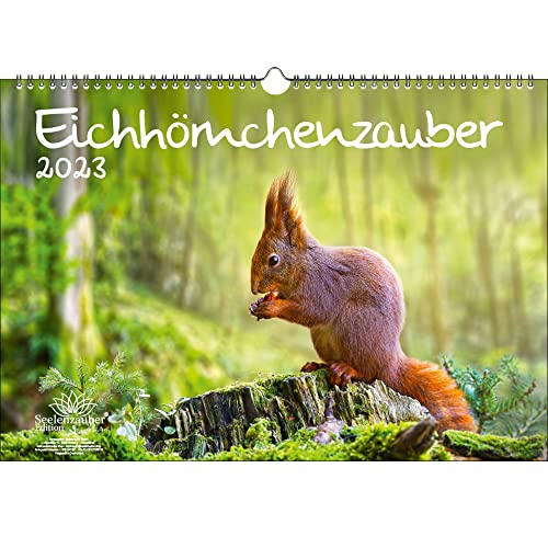 Eichhörnchenzauber DIN A3 Kalender für 2023 Eichhörnchen - Seelenzauber, mehrfarbig, KN2023-3W-0003-D-0